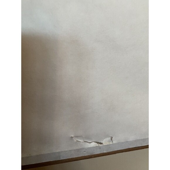 Larry Fodor TSITOTO Hand colored lithograph on paper Hand Signed 67/150 - Picture 13 of 16